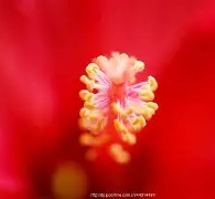 FB体育平台-红蓝军团的胜负之争令人屏息