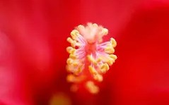 FB体育平台-红蓝军团的胜负之争令人屏息