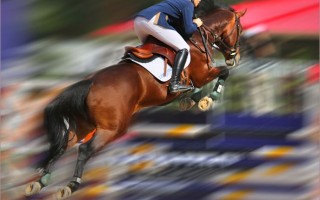 FB体育平台-障碍赛马比赛选手奋勇争先，突破重重困难