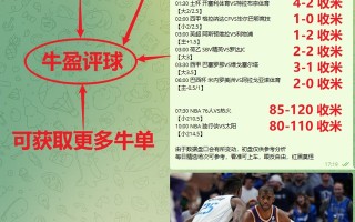 FB体育官网-埃弗顿战胜斯旺西，全取三分守住中游位置