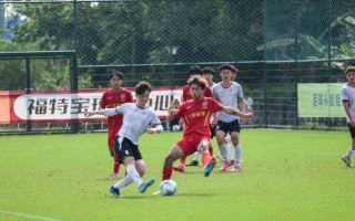 FB体育官网-精彩绝伦，足球赛场即将闪耀绽放
