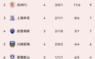 FB体育官网-南京队豪取胜利，亚冠积分节节攀升