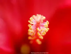 FB体育平台-红蓝军团的胜负之争令人屏息-第1张图片-FB体育官网